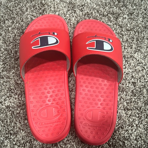 Champion Slides - Picture 2 of 4